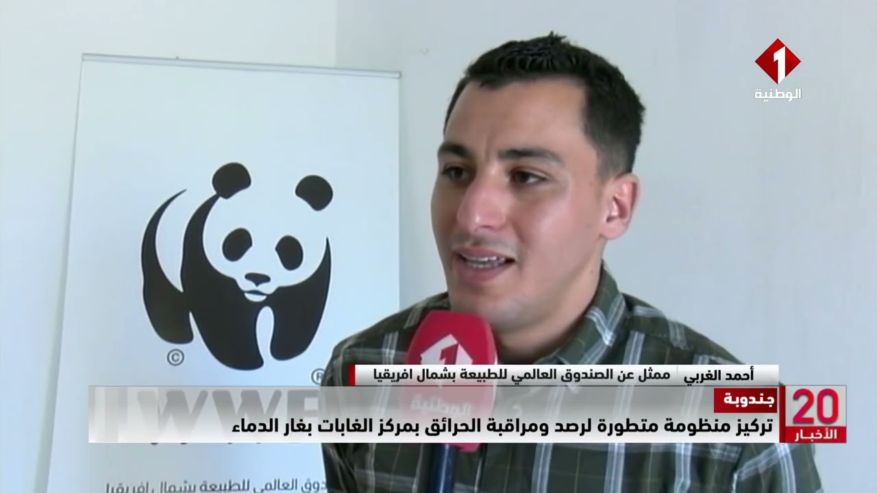 جندوبة: تركيز منظومة متطورة لرصد ومراقبة الحرائق بمركز الغابات بغار الدماء